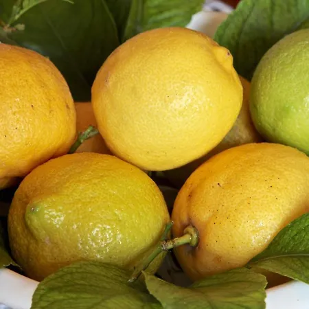 Alojamento de Acomodação e Pequeno-almoço Casa Madda